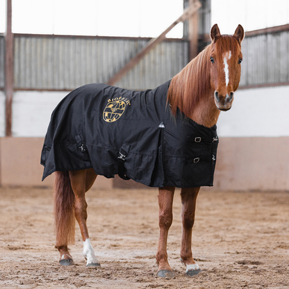 BIORELAX® Pferdedecke mit Klein'sche Felder